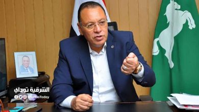 محافظ الشرقية