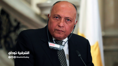 تصعيد جديد من وزير الخاريجية المصري لدعم فلسطين والقدس 4 وزير الخاريجية 2