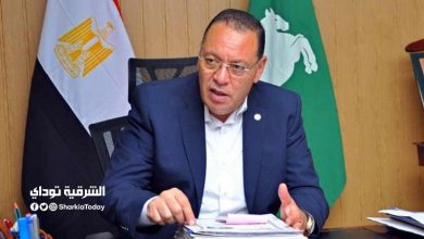 محافظ الشرقية 2