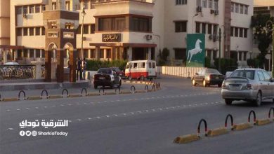 محافظة الشرقية