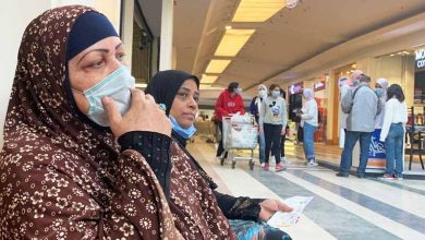 مستشار رئيس الجمهورية يكشف علاج الفطر 4 مستشار رئيس الجمهورية يكشف علاج الفطر