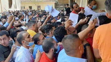 وظائف شاغرة بوزارة الزراعة.. مهندسين وحاسبين وسائقين 5 وظائف شاغرة بوزارة الزراعة