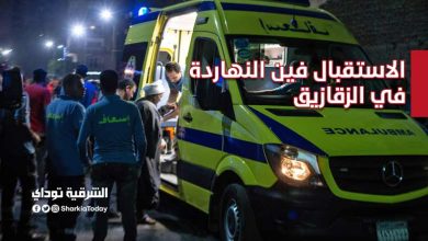 الاستقبال فين النهاردة الزقازيق