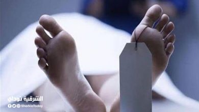 بسبب خلافات زوجية.. عامل يضرب زوجته ببطنها حتى الموت في الشرقية 8 عامل يضرب زوجته ببطنها حتى الموت في الشرقية