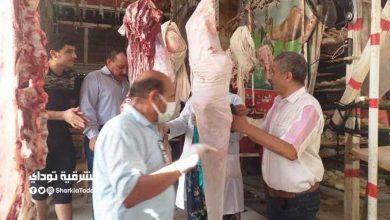"خلال عيد الأضحى".. ضبط أكثر من طن لحوم ودواجن مجهولة المصدر بالشرقية 19 الشرقية