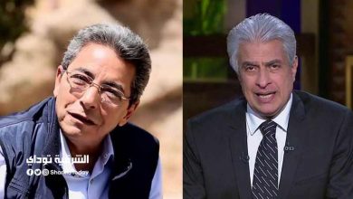 وائل الإبراشي
