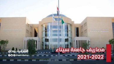 مصاريف جامعة سيناء 2021-2022