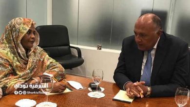 تصعيد خطير.. تفاصيل أول لقاء بين وزير الخارجية ونظيرته السودانية بعد الملء الثاني لسد النهضة 5 وزير الخارجية مع نظيرته السودانية
