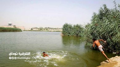 الطقس غدًا في مصر