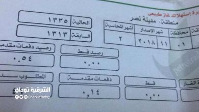 لشهر أغسطس.. تحذير عاجل من وزارة البترول بشأن فاتورة الغاز المنزلي 8 فاتورة الغاز الطبيعي