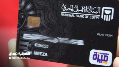 خلال 4 أشهر قادمة.. استبدال 4 ملايين بطاقة راتب بكارت "ميزة" لموظفي الدولة 1 كارت ميزة