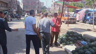 نقل سوق مدينة القنايات