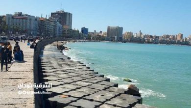 بشرى سارة.. 12 يومًا إجازة لموظفين الحكومة والقطاع الخاص في أكتوبر 8 إجازة