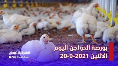 الكيلو يبدأ من 20 جنيه.. بورصة الدواجن اليوم الاثنين 20-9-2021 9 بورصة الدواجن اليوم الاثنين 20-9-2021
