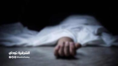 "حلقت شنبي ودقني علشان أغير ملامحي".. ننشر اعترافات المتهم بإنهاء حياة طالب الإسكندرية 3 جثة 1