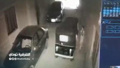 "5 ثواني مرعبة".. كاميرات المراقبة توثق لحظة اختطاف طفل الجيزة من أمام منزله (فيديو) 8 خطف طفل