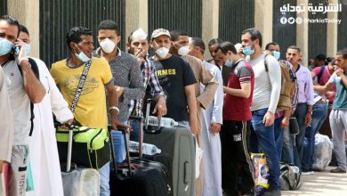 دولة عربية تطلب مليون عامل مصري 5 دولة عربية تطلب مليون عامل مصري