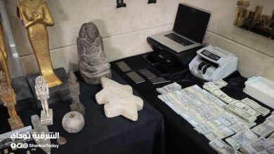 مغارة على بابا.. لحظة ضبط 104 سبيكة ذهبية وتماثيل وعملات ومخدرات بفيلا بالقاهرة (فيديو وصور) 6 ضبط 104 سبيكة ذهبية وتماثيل وعملات