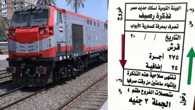 عقوبة الممتنع عن دفع تذكرة توديع مسافر