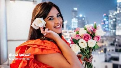 ياسمين عبد العزيز 5
