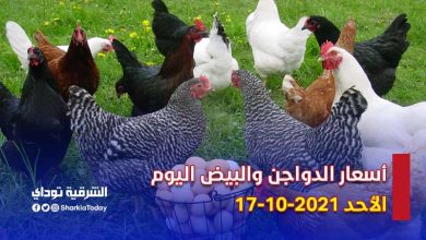 أسعار الدواجن اليوم الأحد 17-10-2021