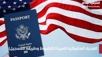 الهجرة العشوائية لأمريكا 2022