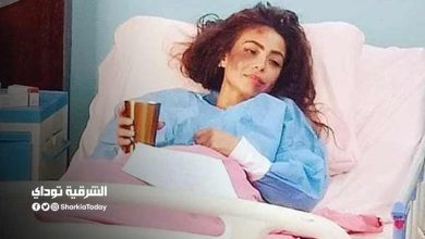 دوللي شاهين