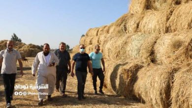 رئيس جهاز شئون البيئة يتفقد أعمال منظومة مكافحة الحرق المكشوف للمخلفات الزراعية بمحافظتي بالشرقية والدقهلية 4