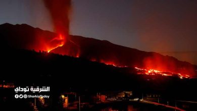 لا بالما