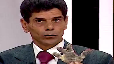 شخص يقول أنه شاهد مخلوقات فضائية في الزقازيق ومعه الدليل 18 نتنتنت