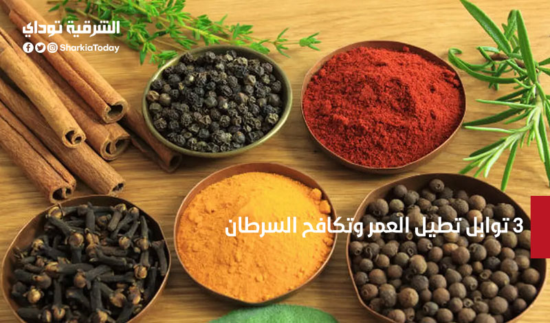 3 توابل تطيل العمر وتكافح السرطان والسكري والزهايمر 1 3 توابل تطيل العمر وتكافح السرطان