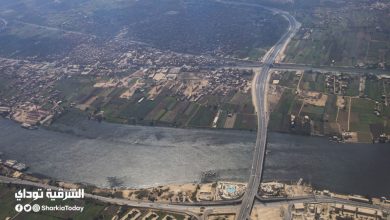 ليست الاسكندرية وحدها.. 4 مدن مصرية معرضة للغرق بسبب تغير المناخ 10 4 مدن مصرية معرضة للغرق
