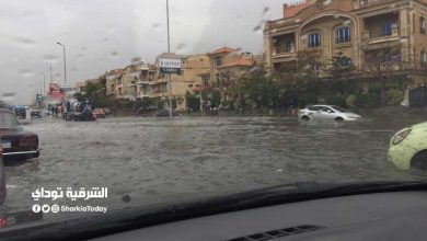 الطقس غدا في مصر.. الأرصاد تحذر من أجواء ممطرة تصل القاهرة والدلتا