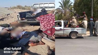 عملية في قلب الجبل.. فيديو يرصد عملية القضاء على عصابة حمدى أبو صالح 12 القضاء على عصابة حمدى أبو صالح