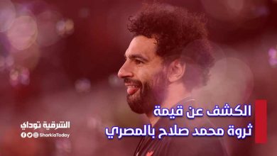 ثروة محمد صلاح بالمصري
