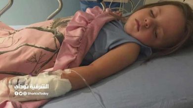 الأطفال أكثر عرضة للوفاة.. تحذير من "ذو العقلة السوداء" يهاجم المنازل ولدغته مميتة 2 ذو العقلة السوداء
