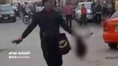 بالفيديو.. شاهد عيان يوضح سبب عدم تدخل الأهالي لإنقاذ ضحية حادث الإسماعيلية 6 سبب عدم تدخل الأهالي لإنقاذ ضحية حادث الإسماعيلية