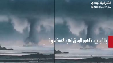 شاهد بالفيديو الودق في الاسكندرية.. ذُكر في القرآن الكريم 6 شاهد بالفيديو الودق في الاسكندرية