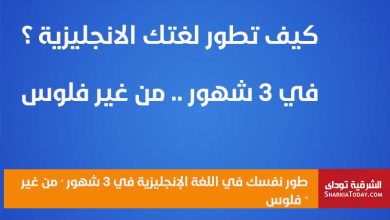 صورة الموقع
