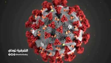 "سريعة الانتشار".. حقيقة ظهور سلالة هيهي من متحورات كورونا.. وما هي أعراض الإصابة؟ 1 كورونا سلالة هيهي