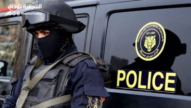 سيدة مسنة تخطف طفل في الشرقية.. وصدمة حول هوية العجوز 14 مسنة تخطف طفل في الشرقية