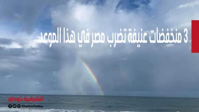 أمطار غزيرة وتقلبات جوية مفاجئة.. 3 منخفضات عنيفة تضرب مصر في هذا الموعد 10 3 منخفضات عنيفة تضرب مصر في هذا الموعد