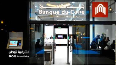 Website Template 1 القاهرة 2