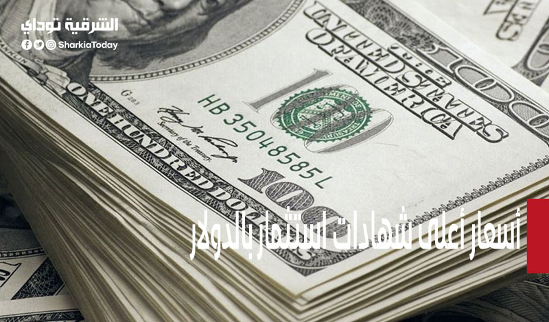 تصرف عائد شهري لـ3 سنوات.. أسعار أعلى شهادات استثمار بالدولار في مصر 5 أسعار أعلى شهادات استثمار بالدولار