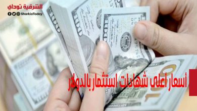 تصرف عائد شهري لـ3 سنوات.. أسعار أعلى شهادات استثمار بالدولار في مصر 8 أسعار أعلى شهادات استثمار بالدولار