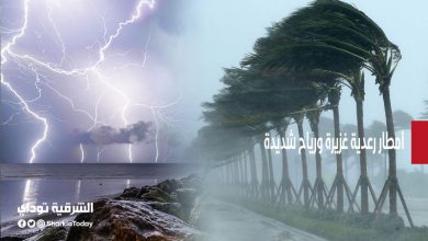 أمطار رعدية غزيرة ورياح شديدة