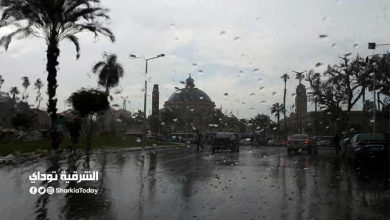 أمطار غزيرة في الطريق لهذه المناطق.. وتحذير عاجل من الأرصاد بشأن الـ6 أيام المقبلة