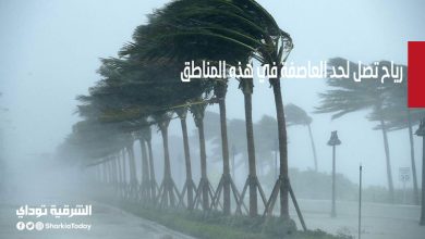 رياح تصل لحد العاصفة في هذه المناطق.. تفاصيل حالة الطقس غدا 10 رياح تصل لحد العاصفة في هذه المناطق