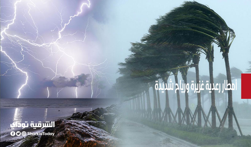 سرعة الرياح تتجاوز الـ100 كيلو وأمطار على هذه المحافظات.. تفاصيل طقس الساعات القادمة 1 سرعة الرياح تتجاوز الـ100 كيلو وأمطار
