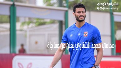 محامي محمد الشناوي يعلن عن مفاجأة